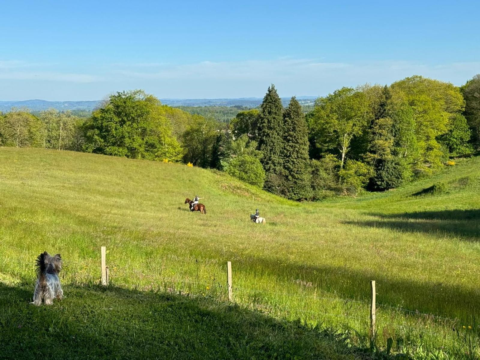 Domaine De Montmery Sa Piscine Son Jardin Ses Espaces Ambazac Luaran gambar